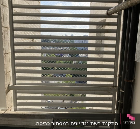 רשת מתכת על חלון למניעת כניסת יונים
